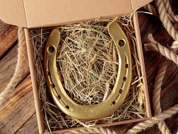 Lucky Gold Horseshoe Gift: Real Equestrian Decor
